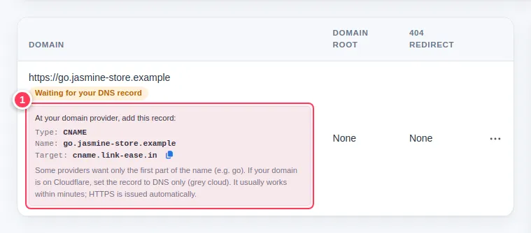 A domain waiting for its DNS record