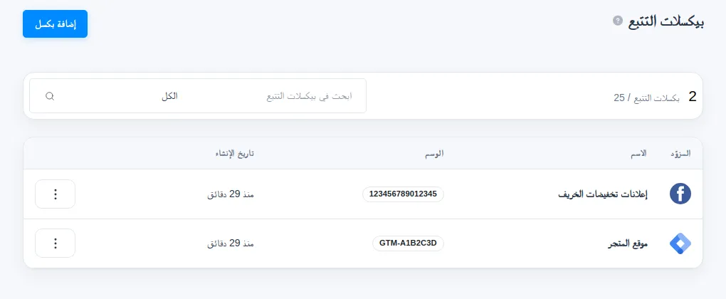 قائمة البكسلات وفيها بكسل Facebook وبكسل Google Tag Manager