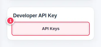 The Developer API Key card with the API Keys button